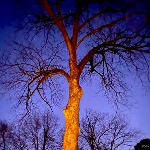 Meet your Posher, Ava